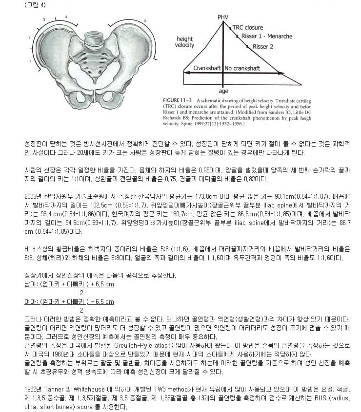 Skeletal structure and adult height prediction formula