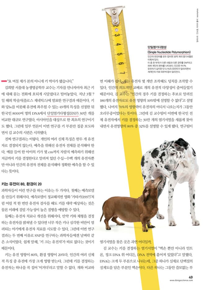 Height genetics and SNP research - Infographic 2