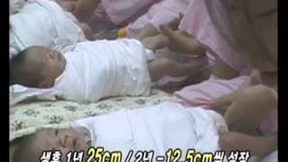 The Secret of Life, Aging, and Death